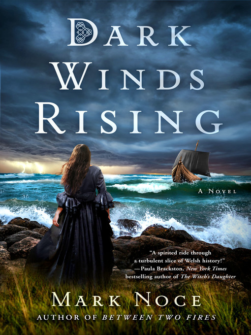 Cover image for Dark Winds Rising